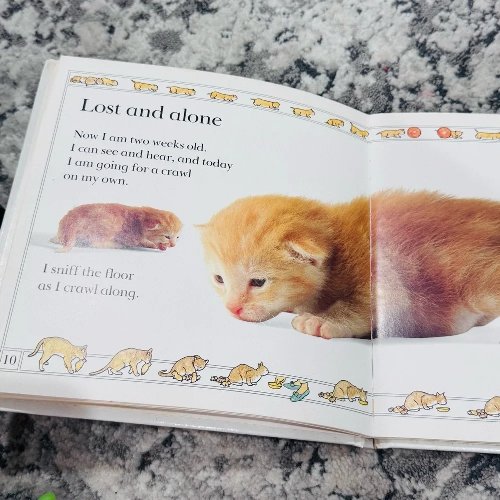 KITTEN - From the SEE HOW THEY GROW Picture Book Series